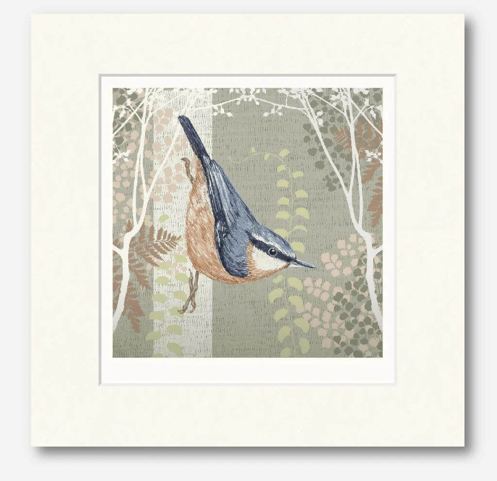 Nuthatch -Signed and mounted Giclée Art Print - Image 4