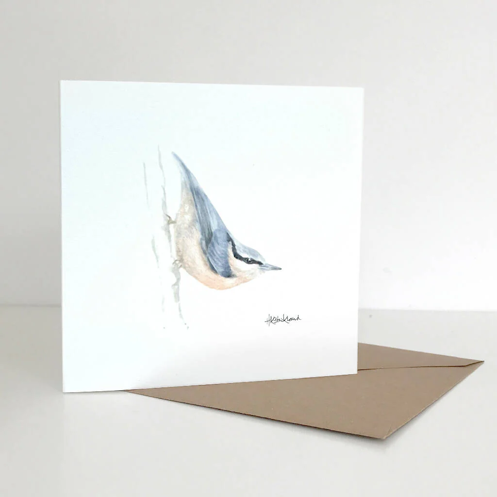 Nuthatch Greetings Card