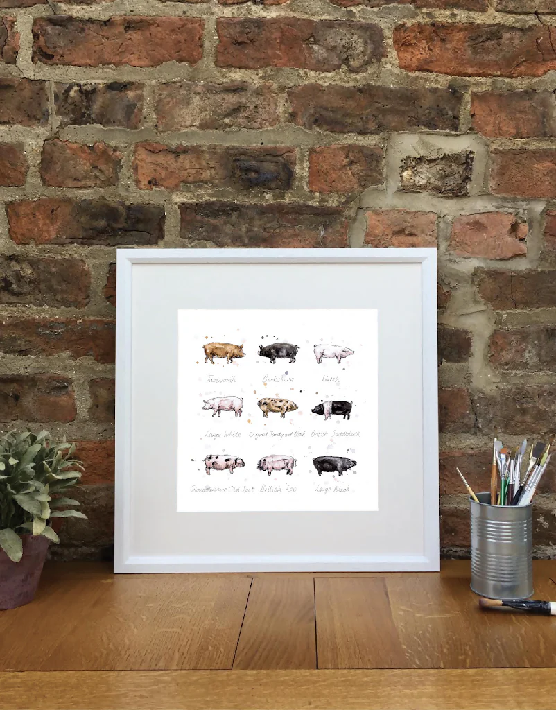 Oink | Signed Limited Edition Print