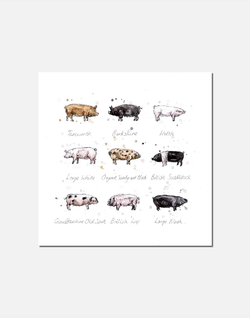 Oink | Signed Limited Edition Print - Image 2