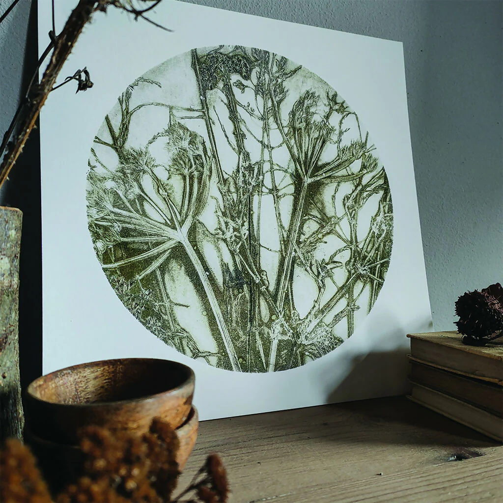 Olive Circular Gelli Print Wildflower and Grasses Giclee Print - Image 3