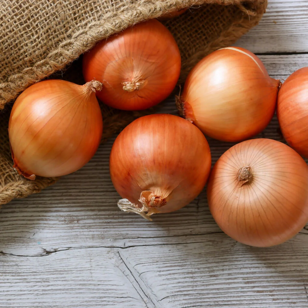 Onion Plants, 'Japanese', 18 x Full Plant Pack - Image 4