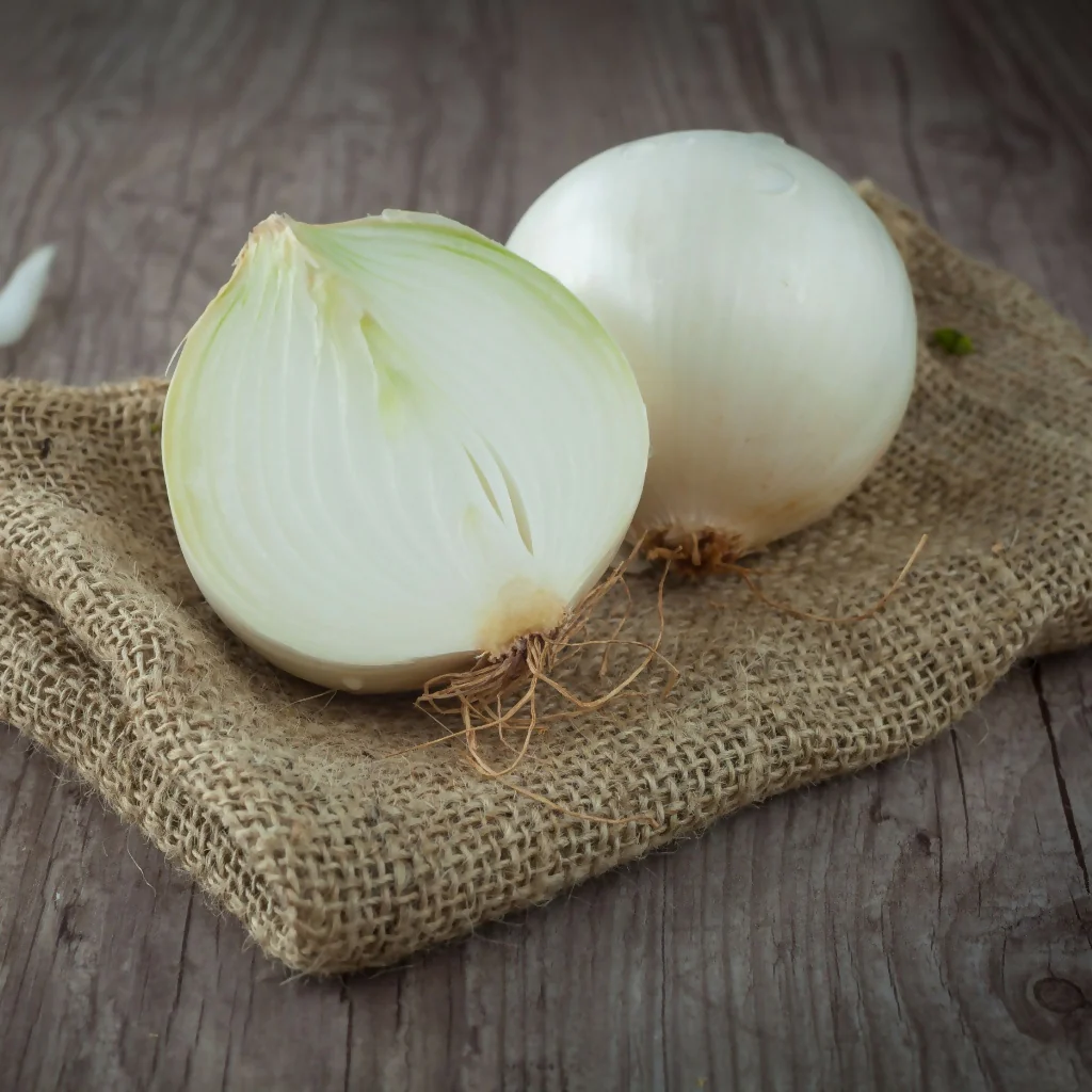Onion Plants, 'White Bulb', 36 x Full Plant Pack