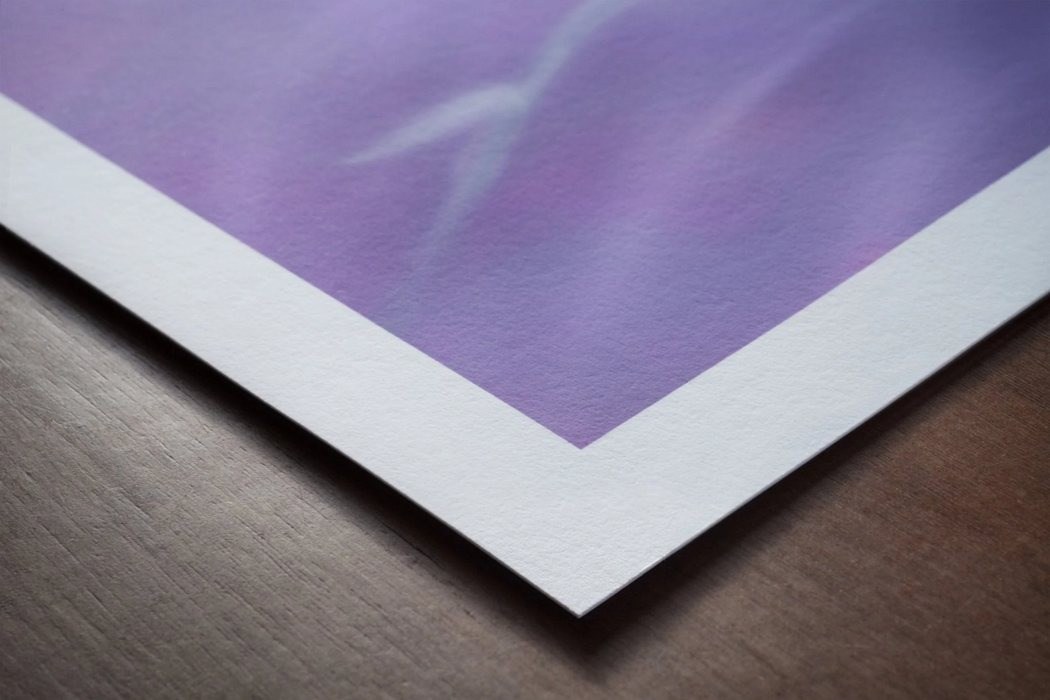 Flower Art Print for Home Interiors 'Orchid' - Image 3