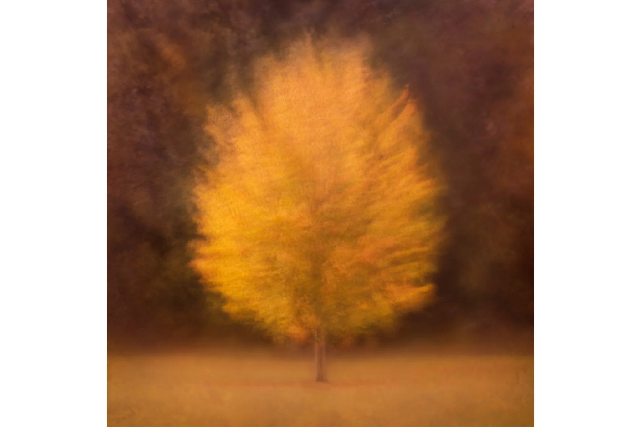 Golden Autumn Fine Art Print 'Orli' - Image 4