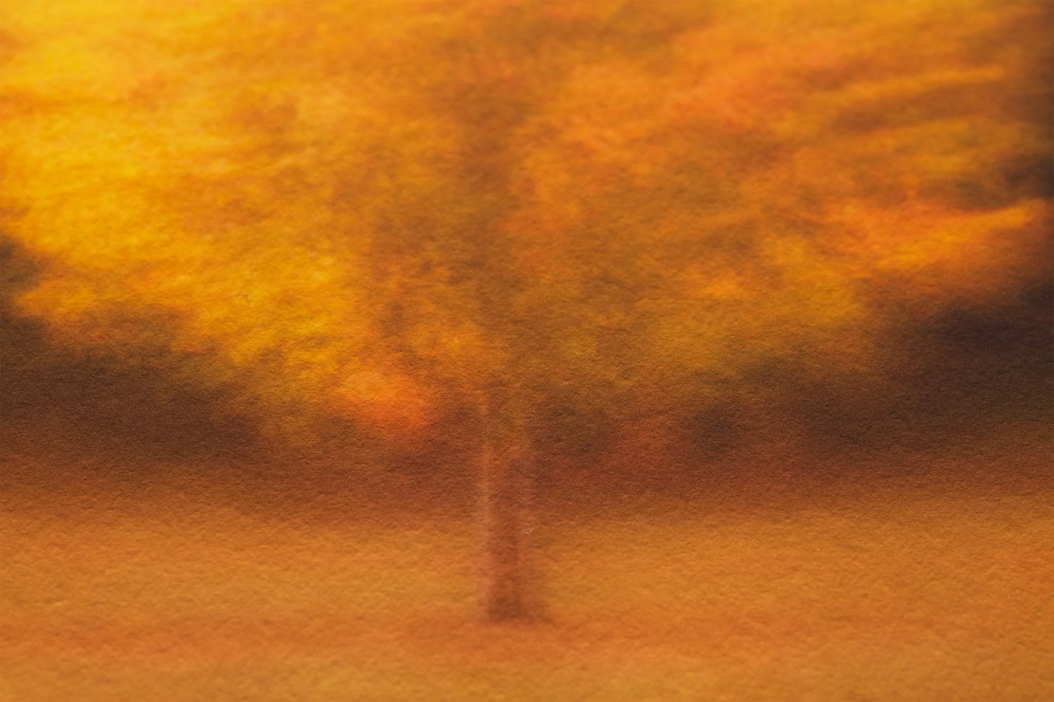 Golden Autumn Fine Art Print 'Orli' - Image 6