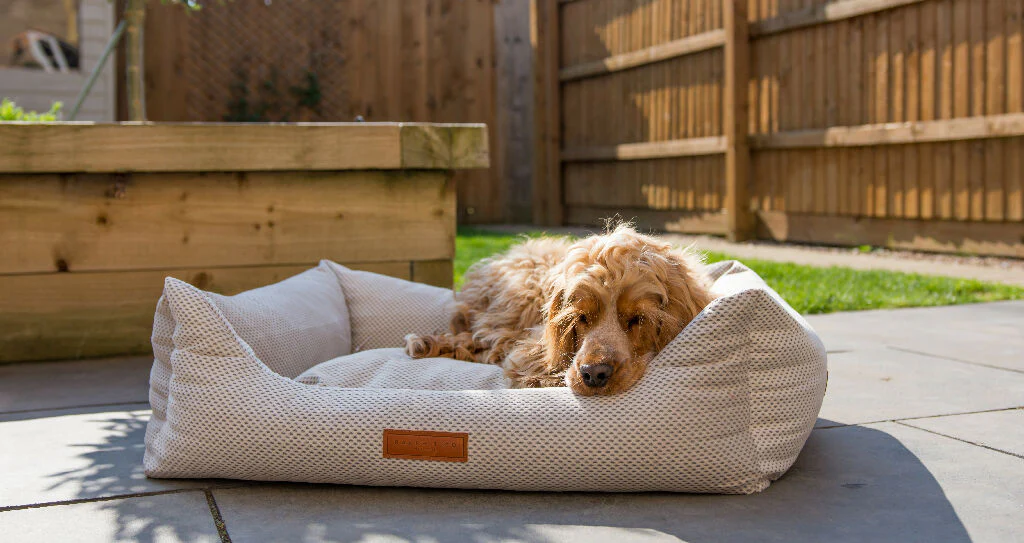 Orthopaedic Memory Foam Dog Bed With Removable Covers | Beige - Image 3