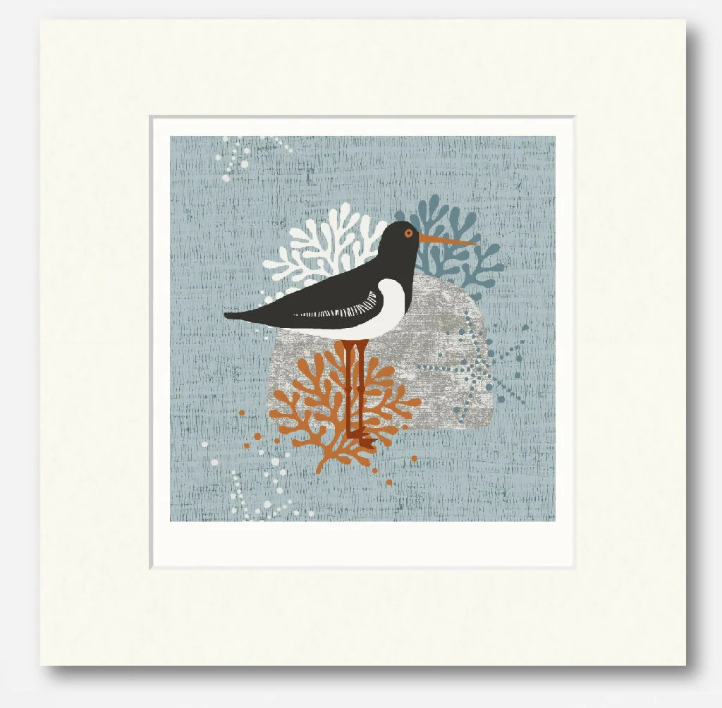 Oyster Catcher Seaside -Signed and mounted Giclée Art Print - Image 3