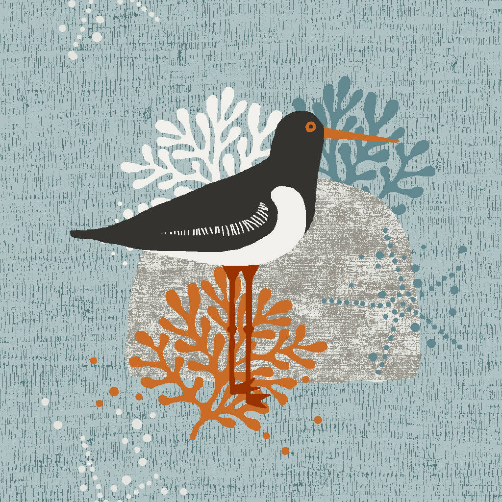 Oyster Catcher Seaside -Signed and mounted Giclée Art Print - Image 5