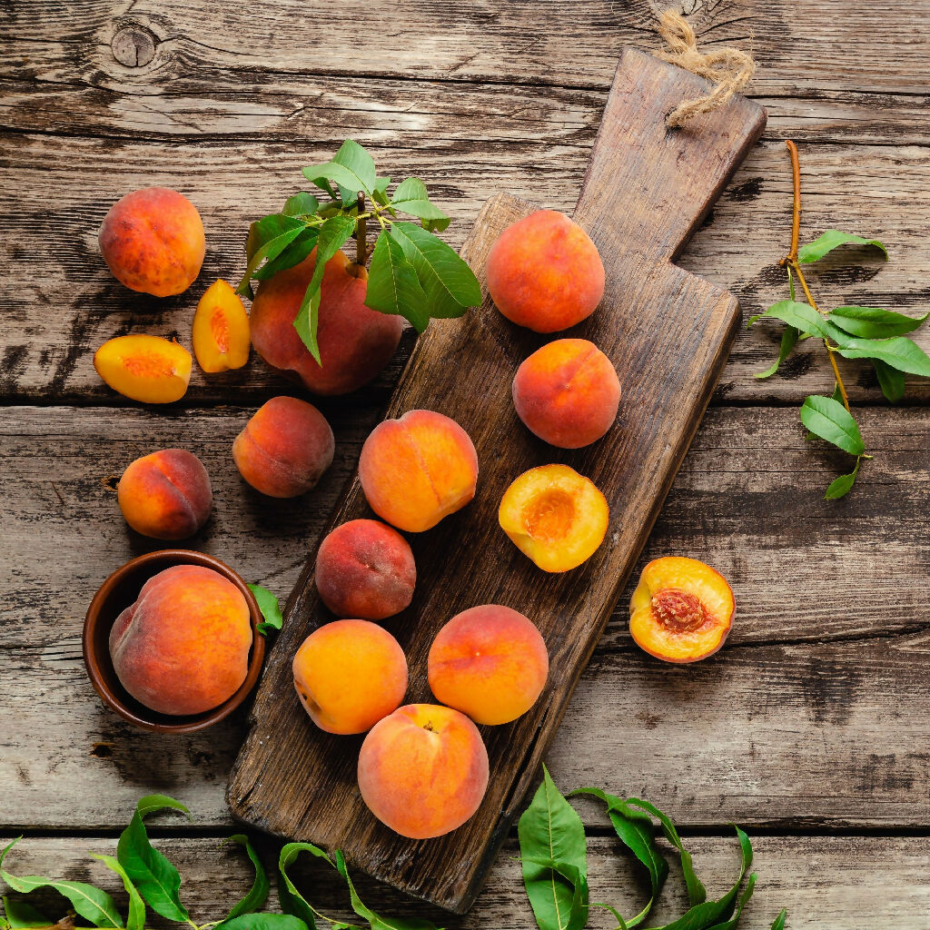 Peach Trees, 'Pergerine', Full Plants in 10 Litre Pots - Image 4