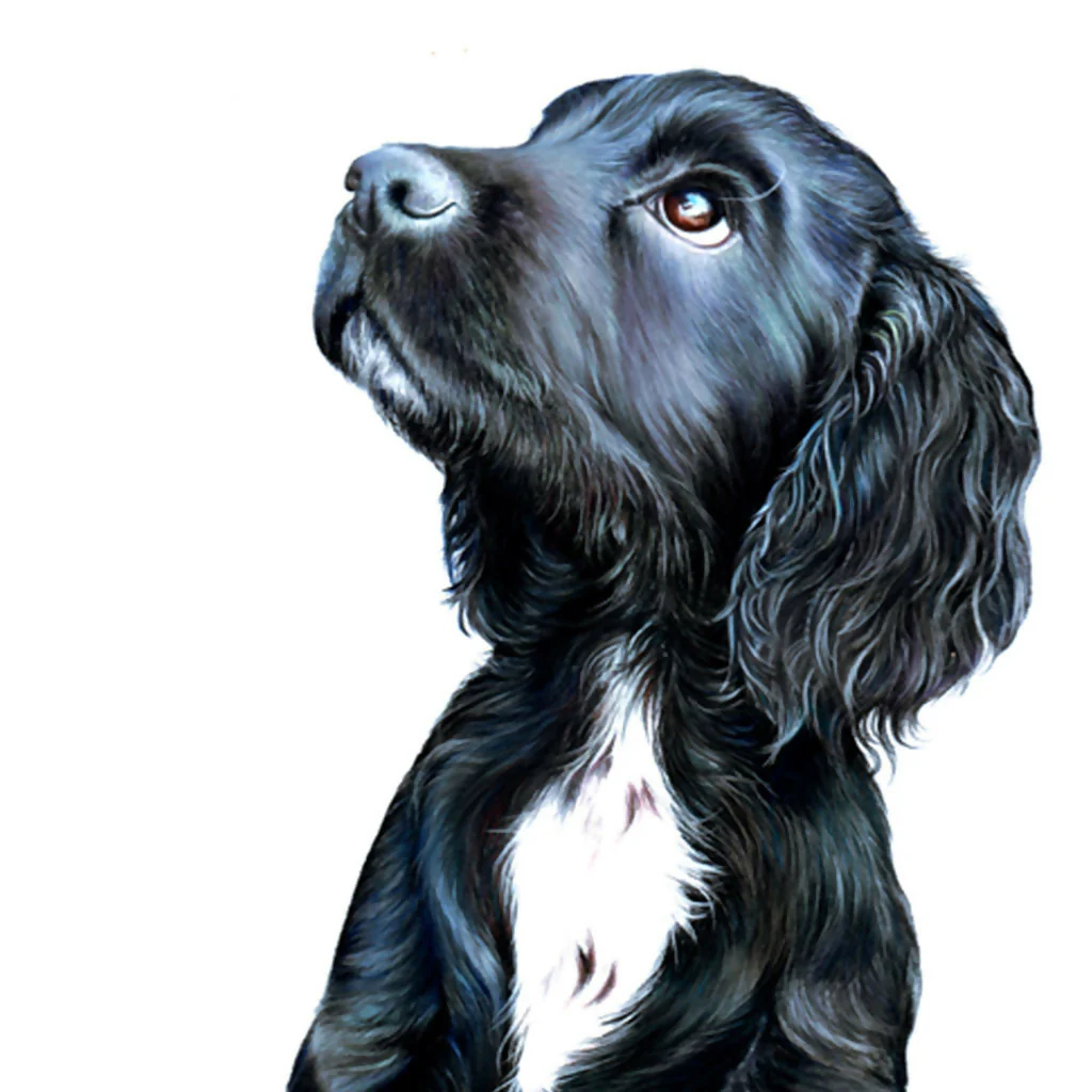 Pet Portrait Commissions - Image 10
