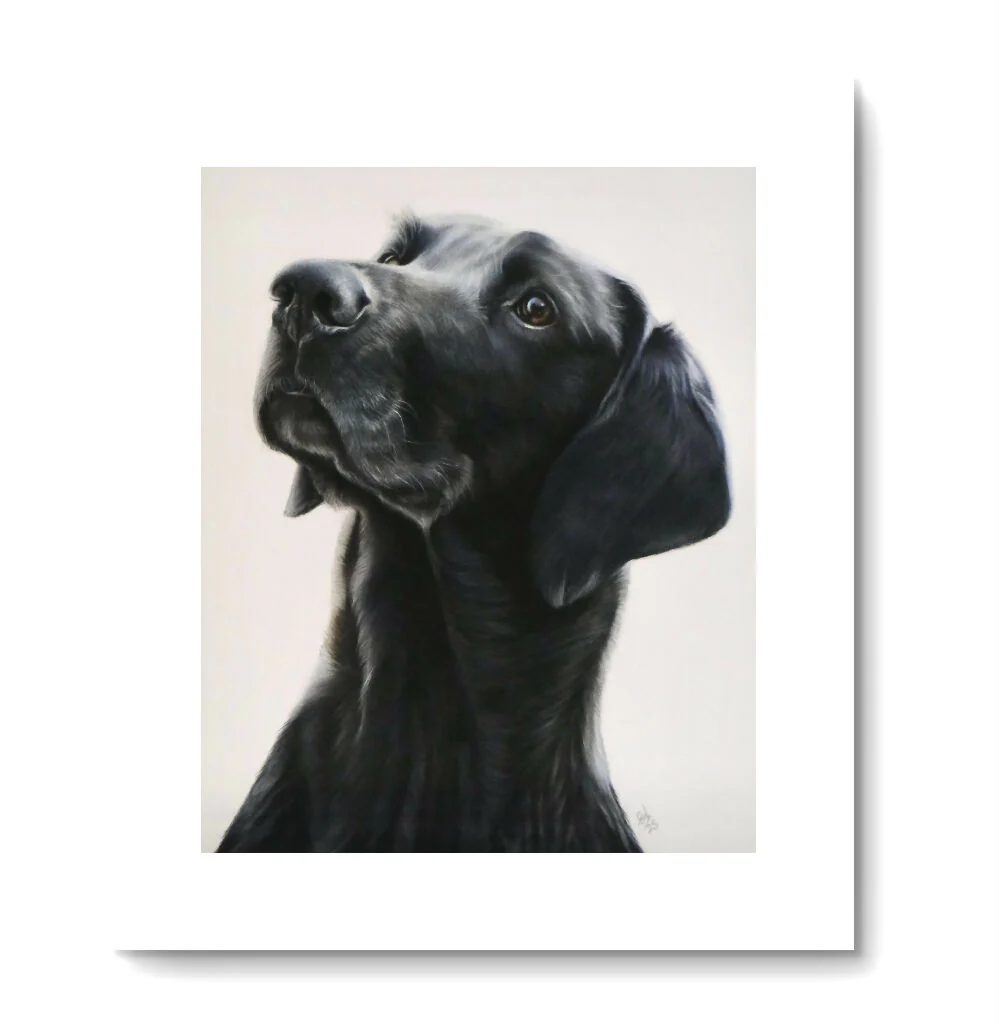 Pet Portrait Commissions - Image 4