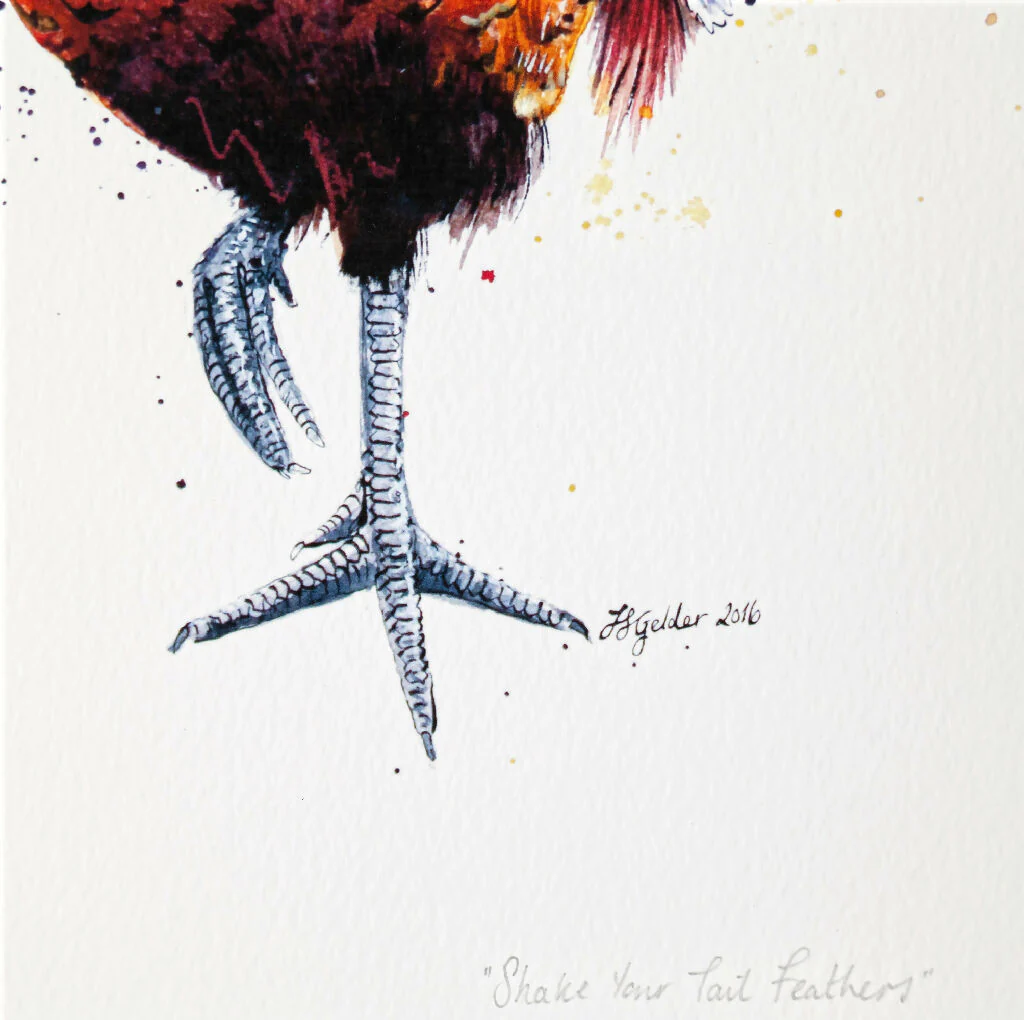 Pheasant Limited Edition Print 'Shake Your Tailfeathers' | Jina Gelder Illustration - Image 3