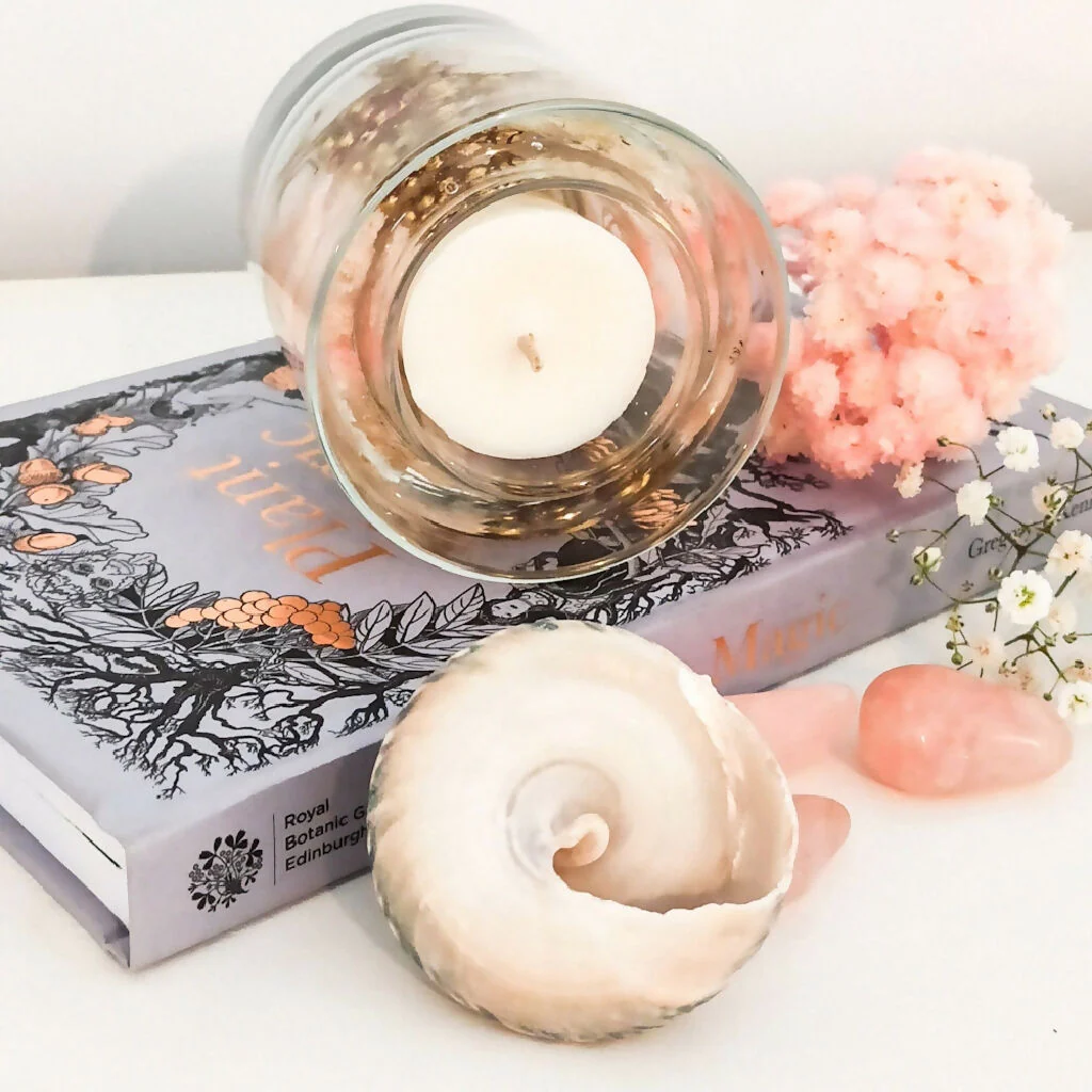 PINK CHAMPAGNE BOTANICAL SCENTED CANDLE - Image 4