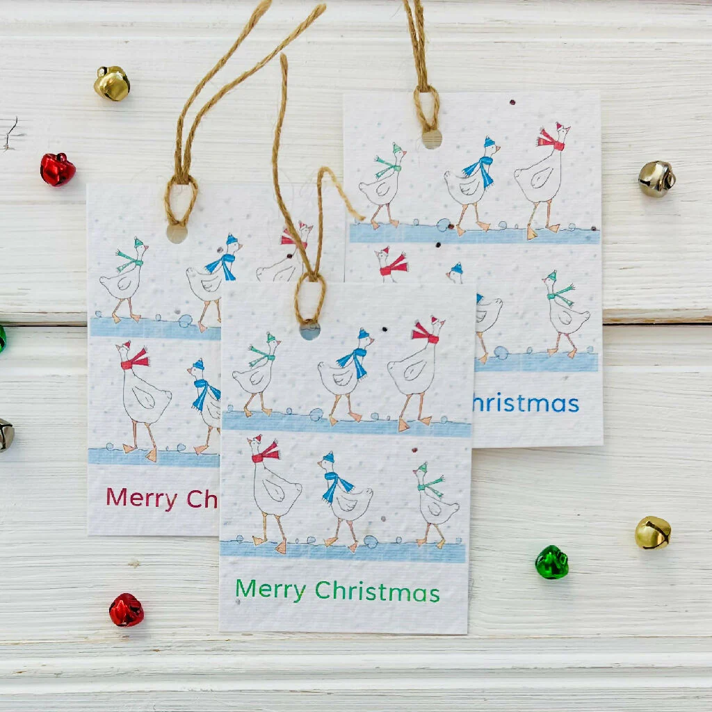 Plantable Seed Card Festive Geese Gift Tags - Image 3