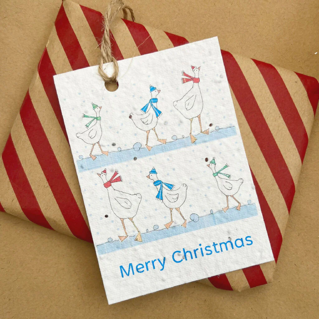 Plantable Seed Card Festive Geese Gift Tags - Image 4
