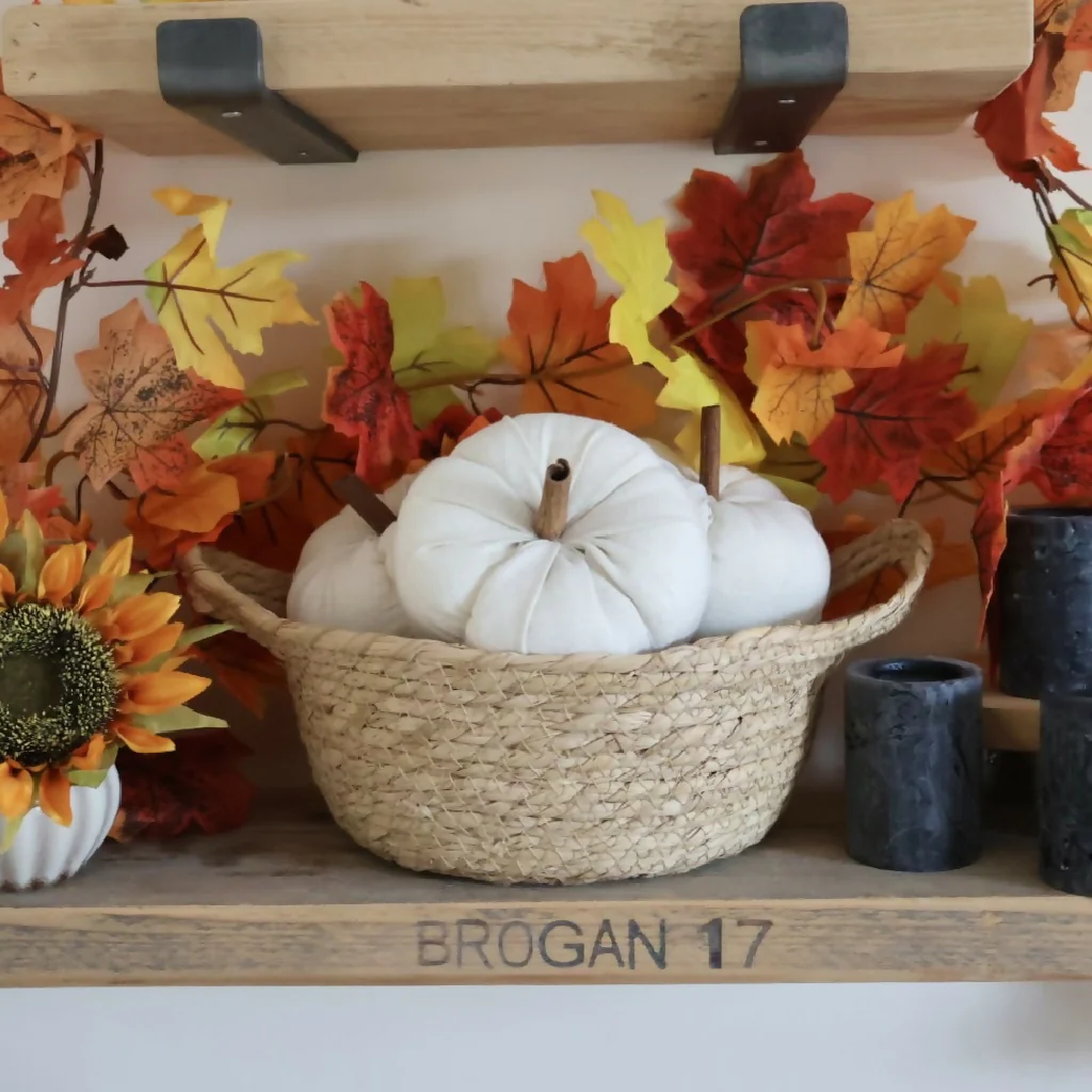 Plush Pumpkins - Image 3