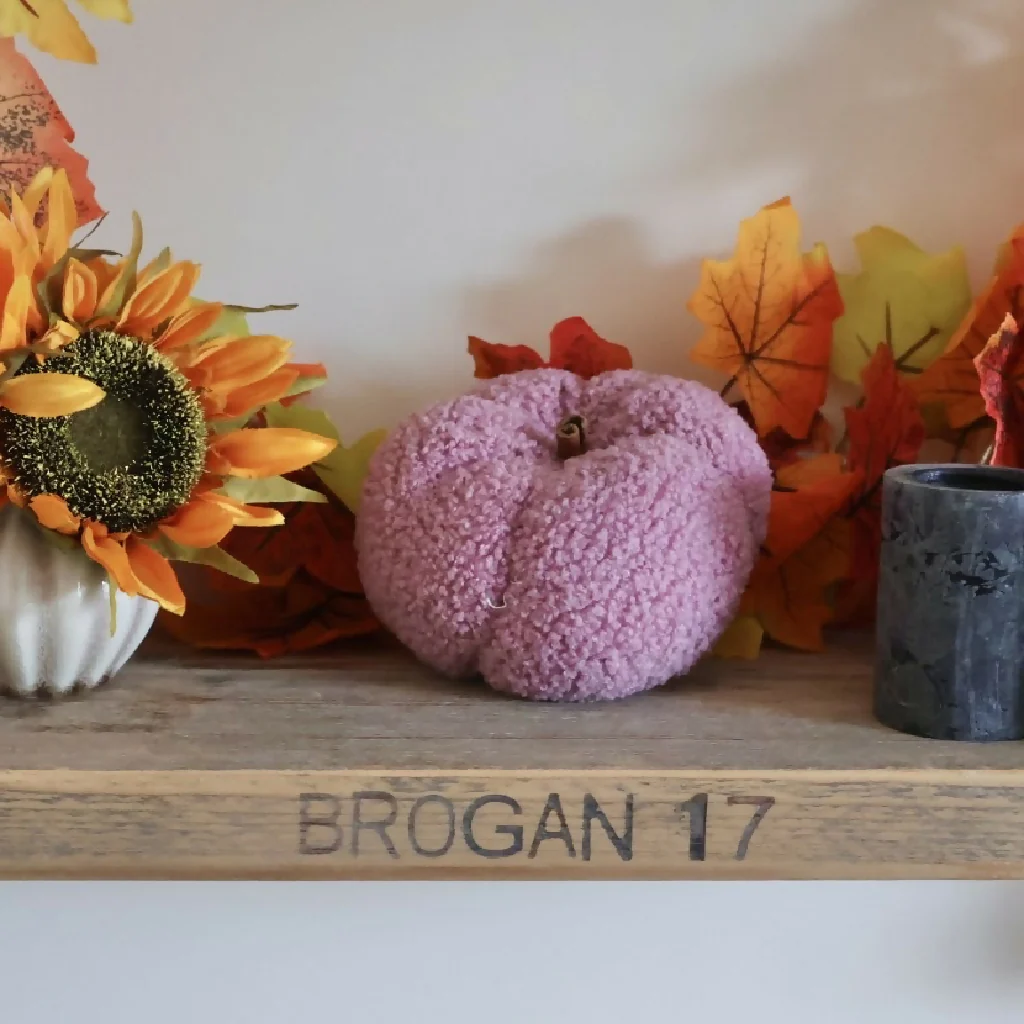 Plush Pumpkins - Image 4