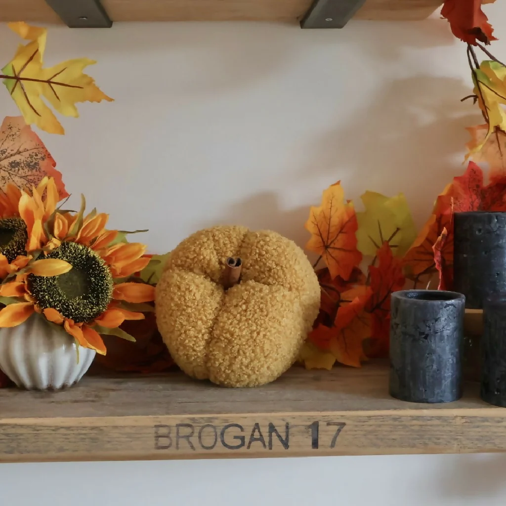 Plush Pumpkins - Image 6