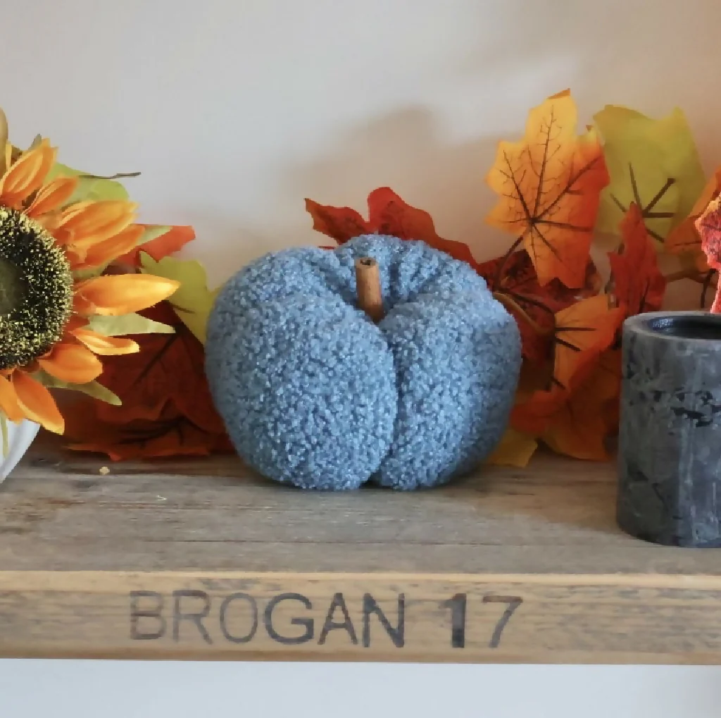 Plush Pumpkins - Image 7