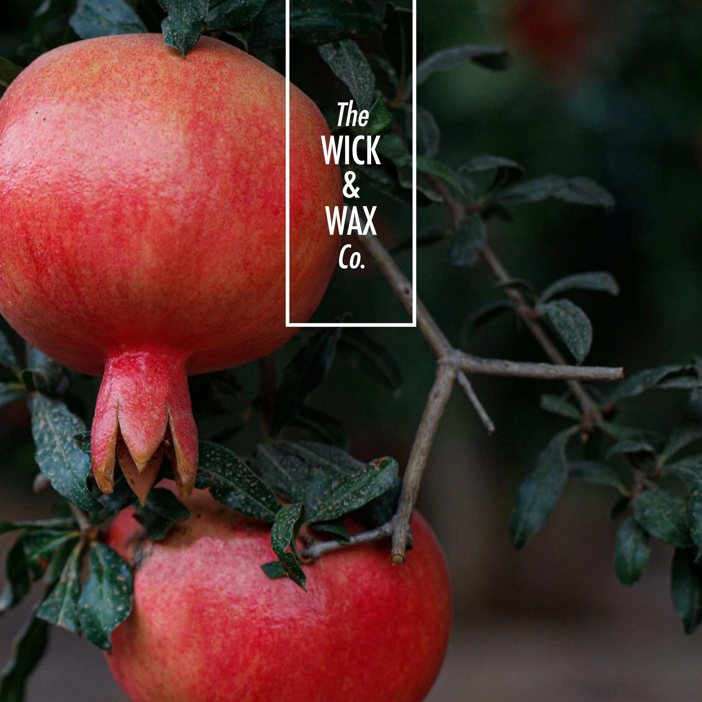 Pomegranate With Fig - Scented Reed Diffuser (Plant-based) - Image 2