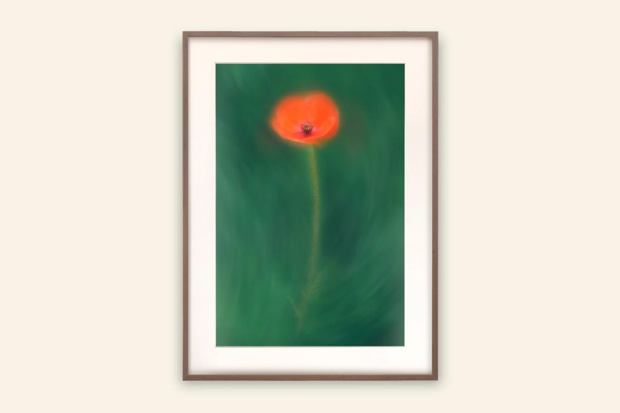 Flower Art Print for Home Interiors 'Poppy' - Image 2