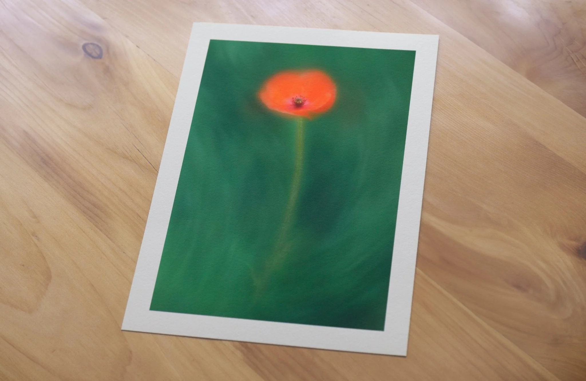 Flower Art Print for Home Interiors 'Poppy' - Image 7