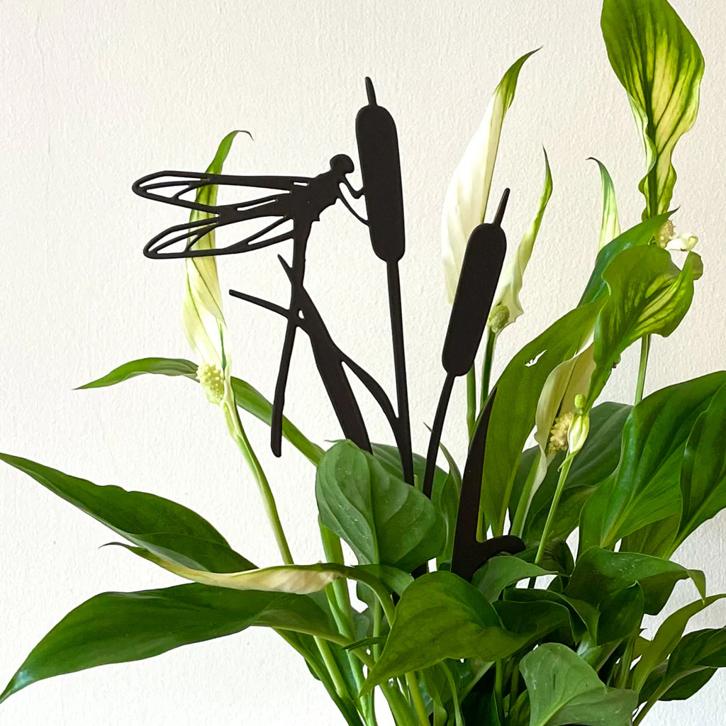 Pot Stems - Dragonfly on rushes - Image 2