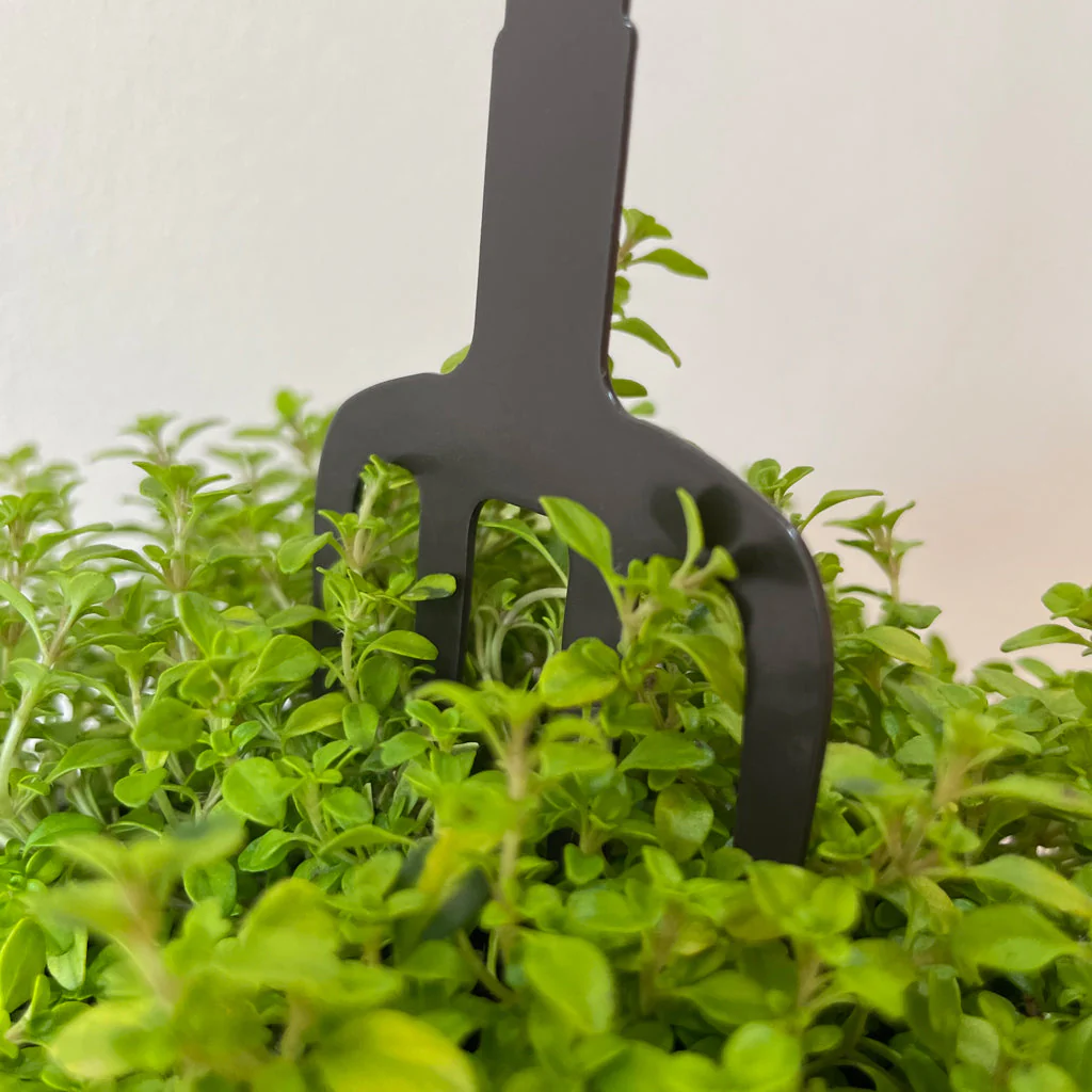 Pot Stems - Robin on a fork with mistletoe - Image 3