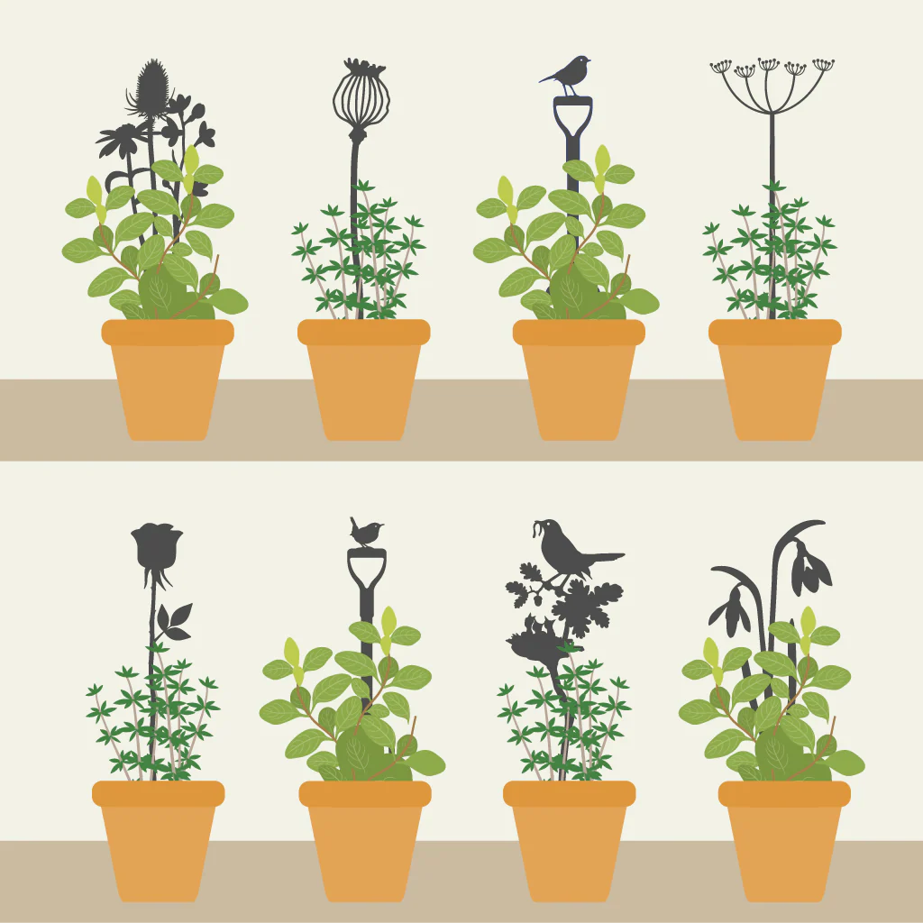 Pot Stems - Snowdrop cluster - Image 2