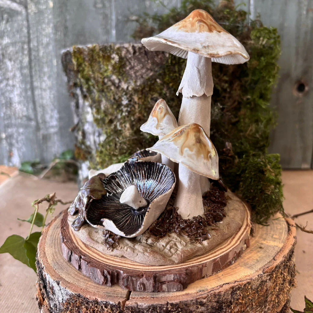 Pottery Toadstool Oakleaf Group in Creams and Browns on Wooden Base - Image 2