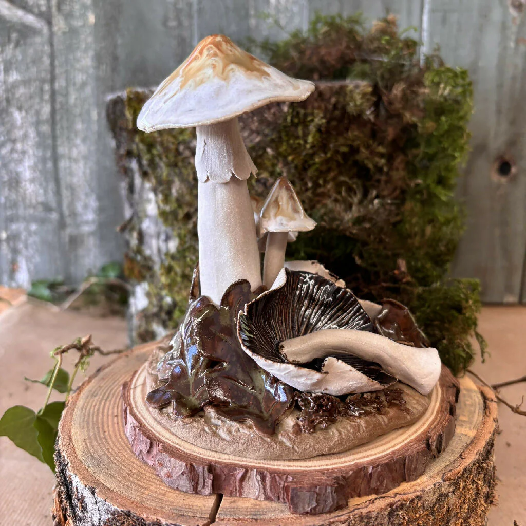 Pottery Toadstool Oakleaf Group in Creams and Browns on Wooden Base - Image 4