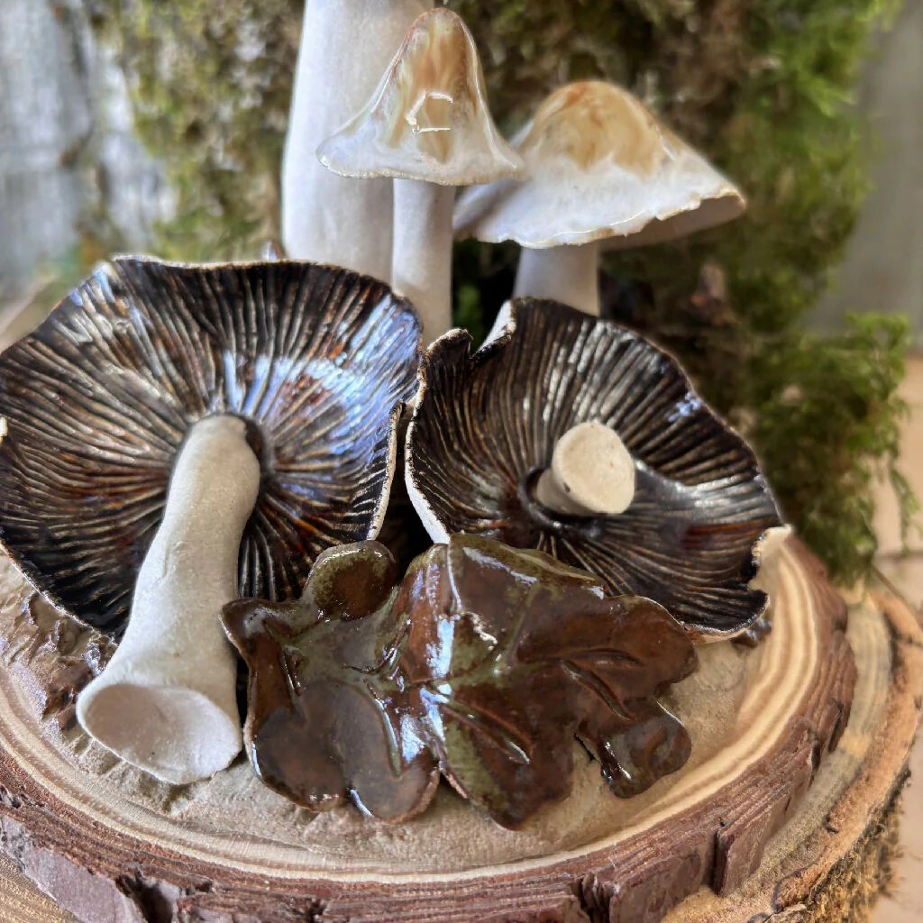 Pottery Toadstool Oakleaf Group in Creams and Browns on Wooden Base - Image 5