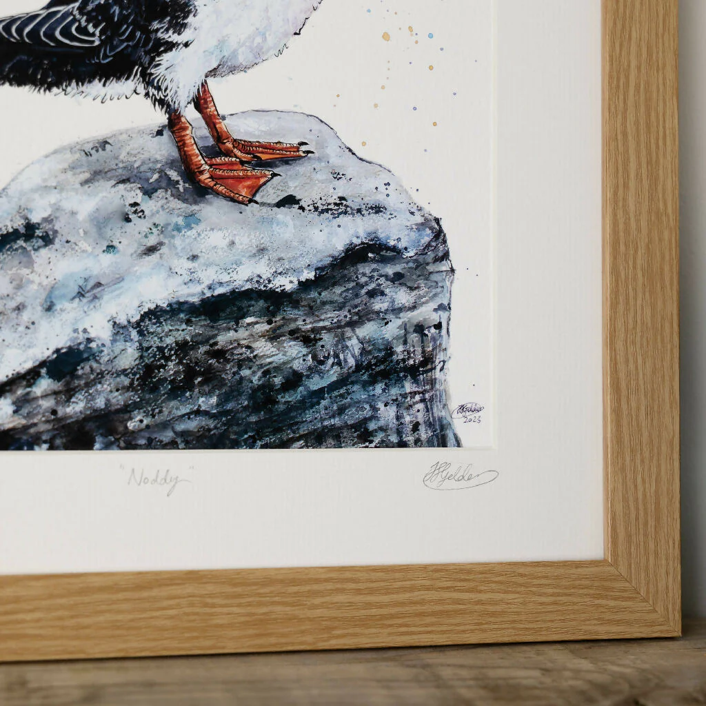 Puffin Limited Edition Print 'Noddy' | Jina Gelder Illustration - Image 2
