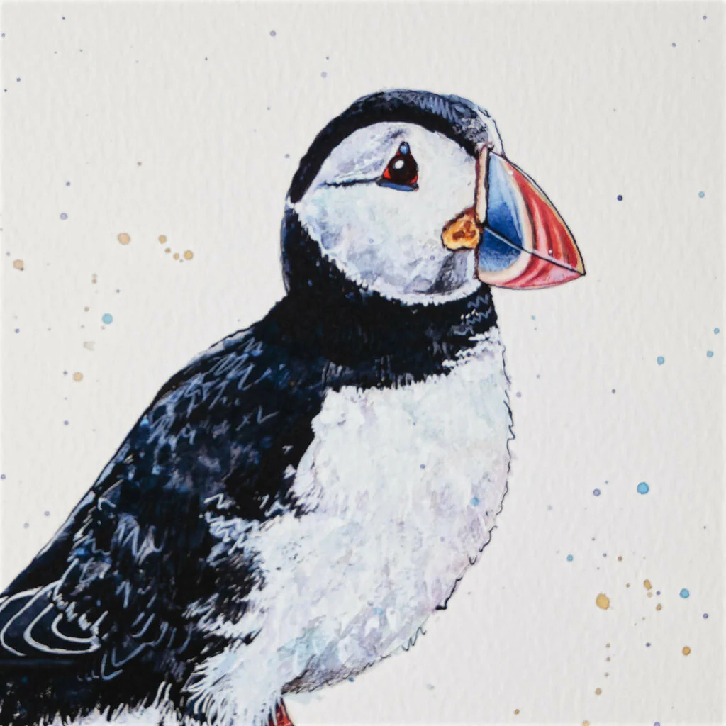 Puffin Limited Edition Print 'Noddy' | Jina Gelder Illustration - Image 3