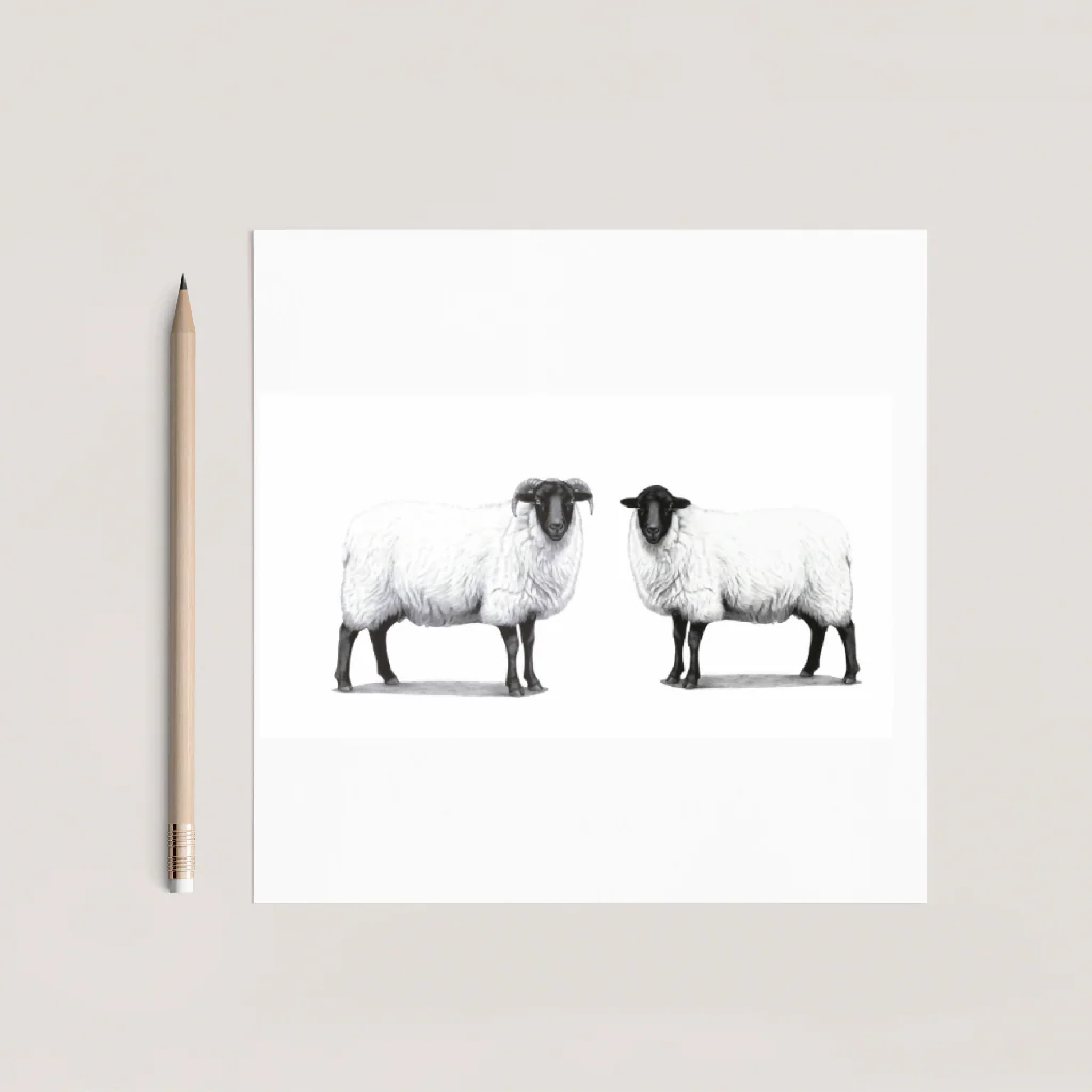 Ram and Ewe Sheep Greeting Card – Hand Drawn Countryside Farm Animal Illustration Card