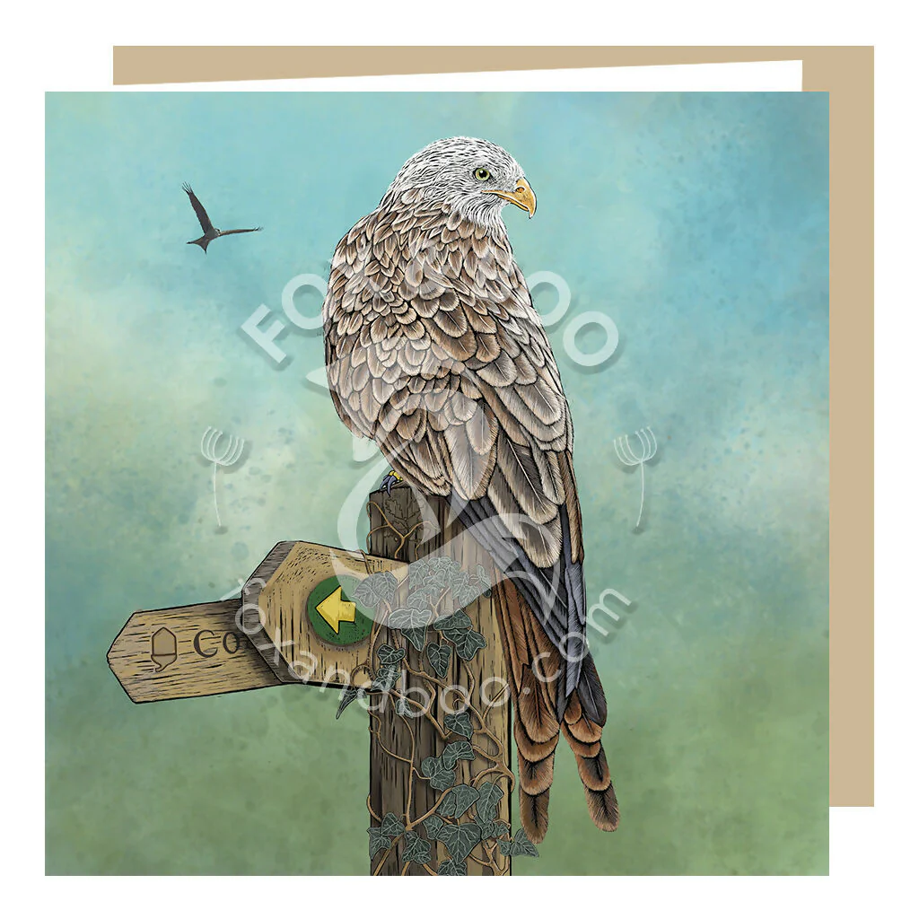 Red Kite Greeting Card