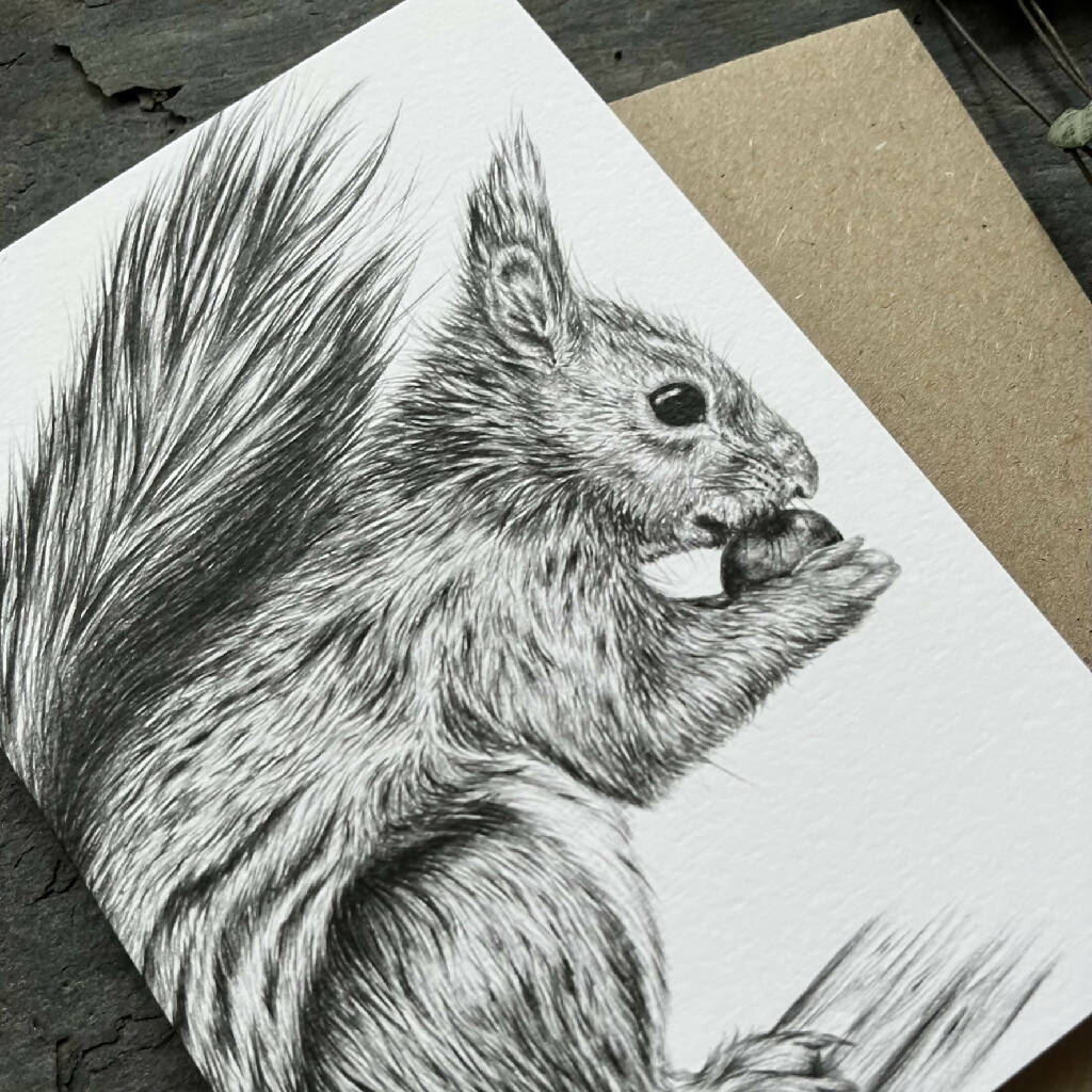 Red Squirrel Blank Greetings Card - Image 2