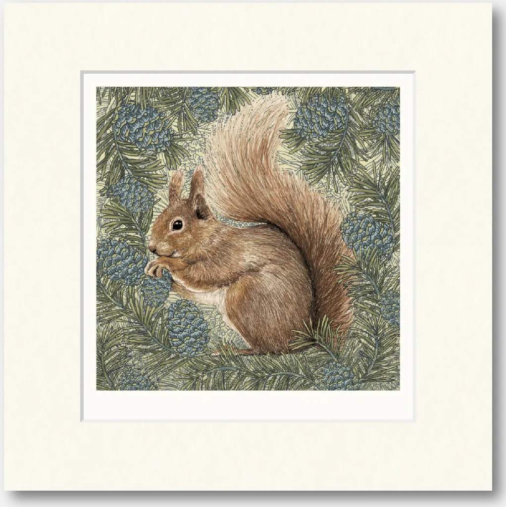 Red Squirrel - Signed and mounted Giclée Art Print - Image 5