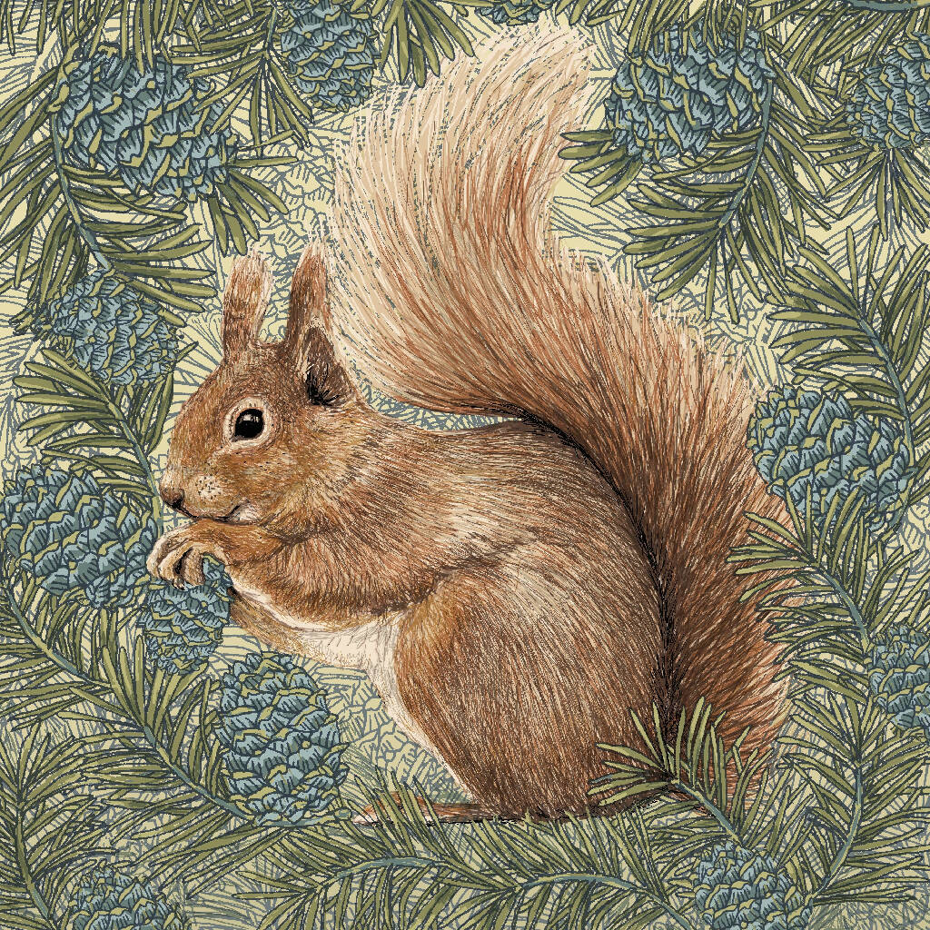 Red Squirrel - Signed and mounted Giclée Art Print - Image 6