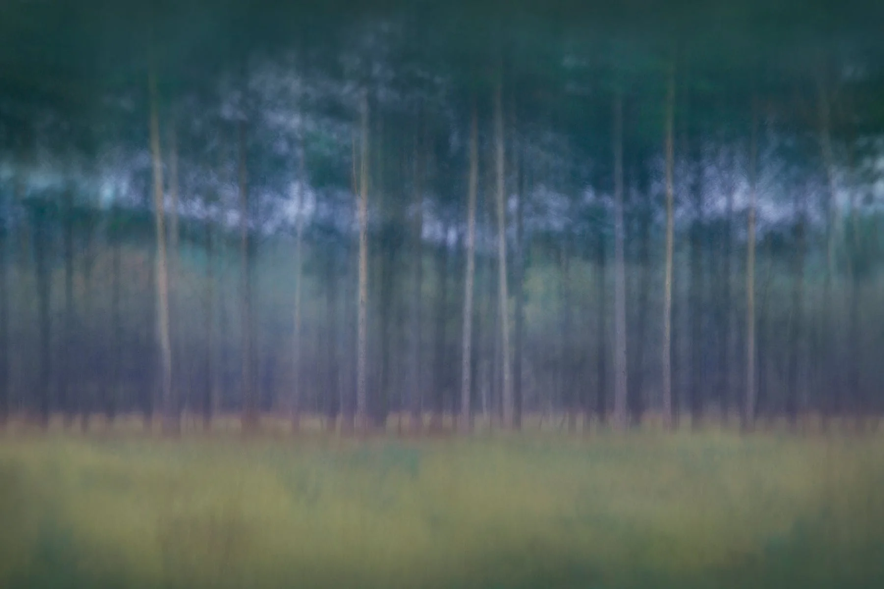 Country Cottage Wall Art 'Rhythms' - Image 4
