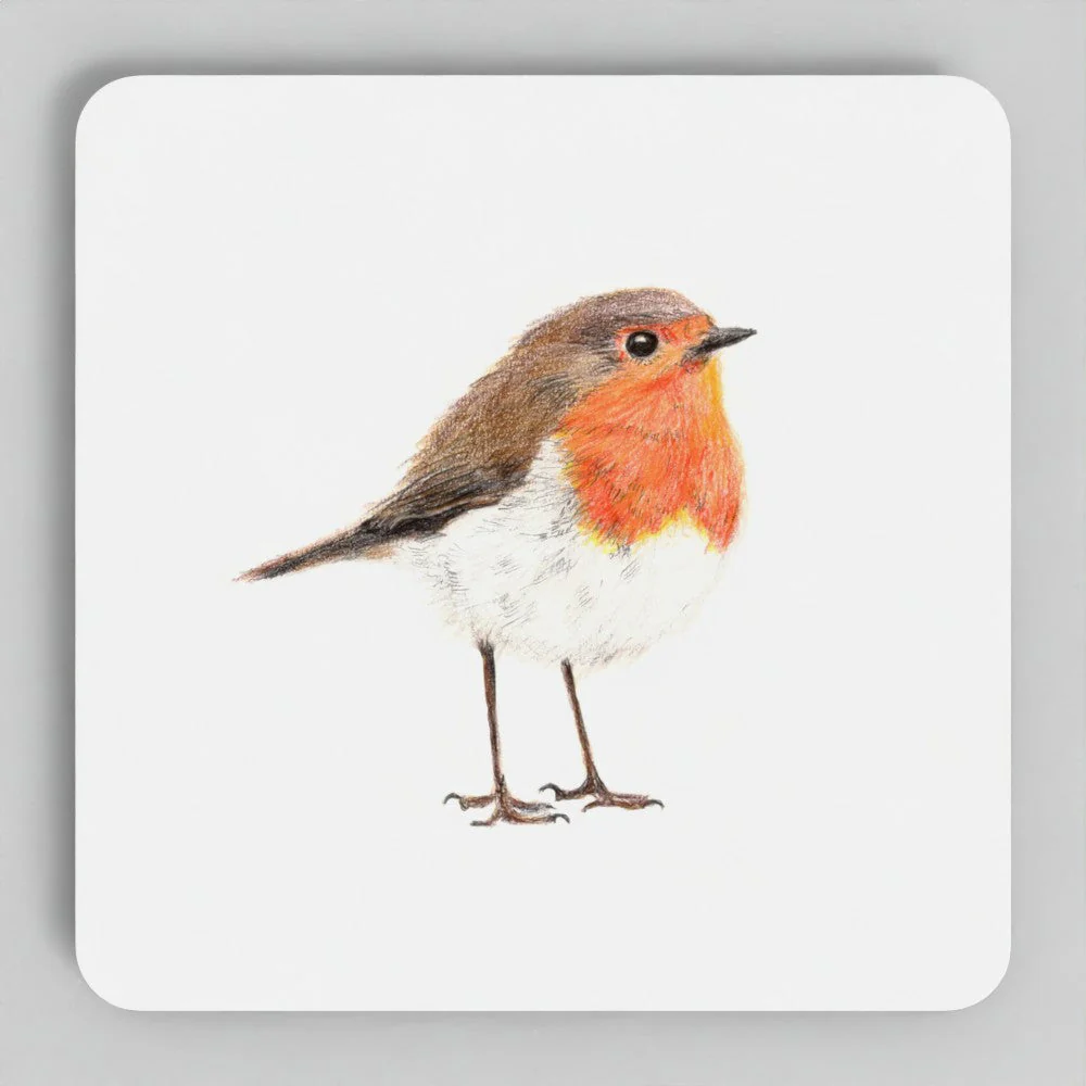 Robin Coaster Set - British Wildlife Art - Image 3