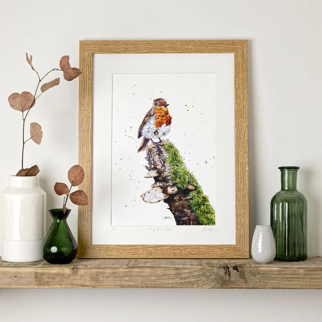 Robin Limited Edition Print 'King of the Castle' | Jina Gelder Illustration