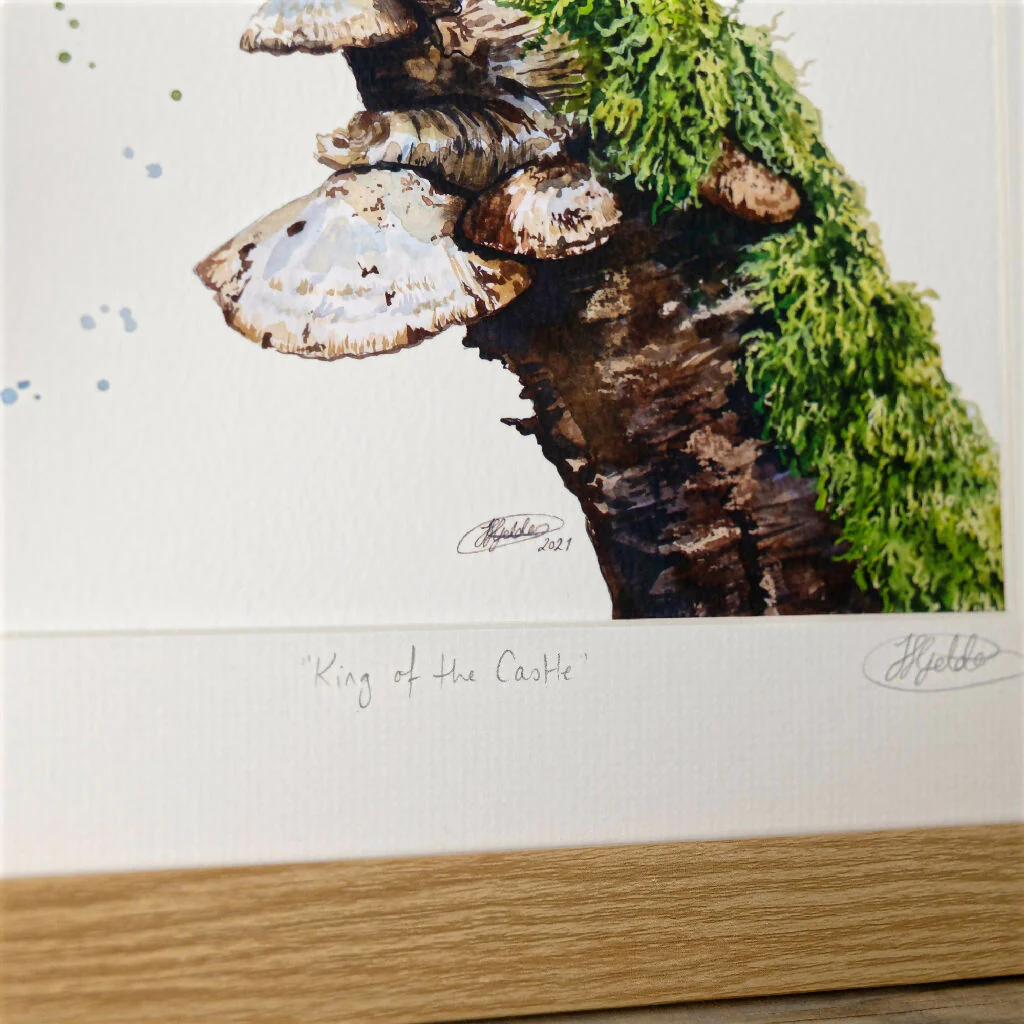Robin Limited Edition Print 'King of the Castle' | Jina Gelder Illustration - Image 3