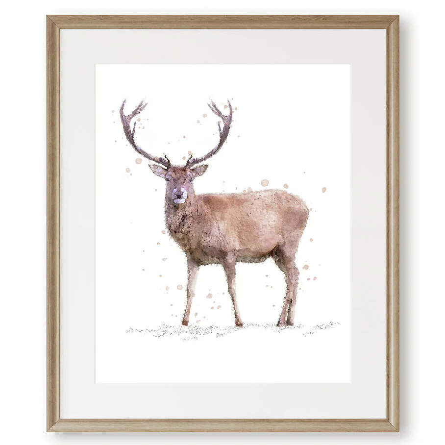 'Rupert' Watercolour Red Deer stag Print - Image 2