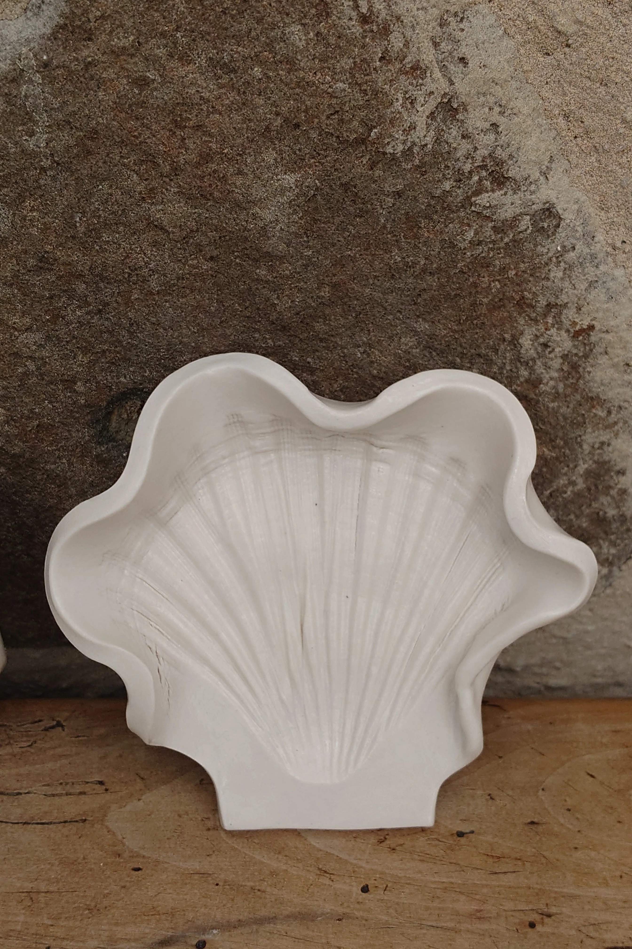 Scallop spoon rest, trinket dish or soap dish - Foreshore Collection - Image 10