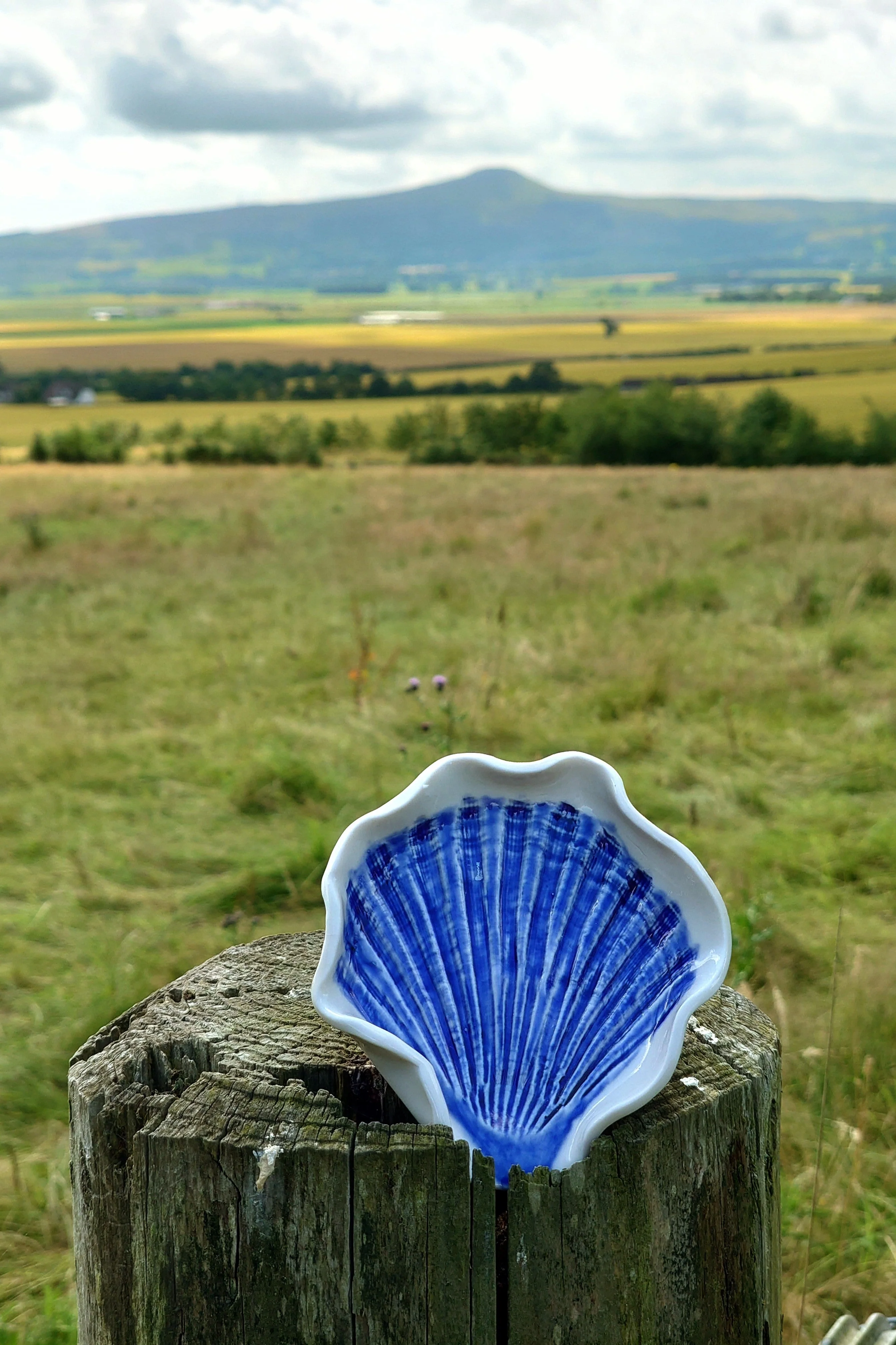 Scallop spoon rest, trinket dish or soap dish - Foreshore Collection - Image 3