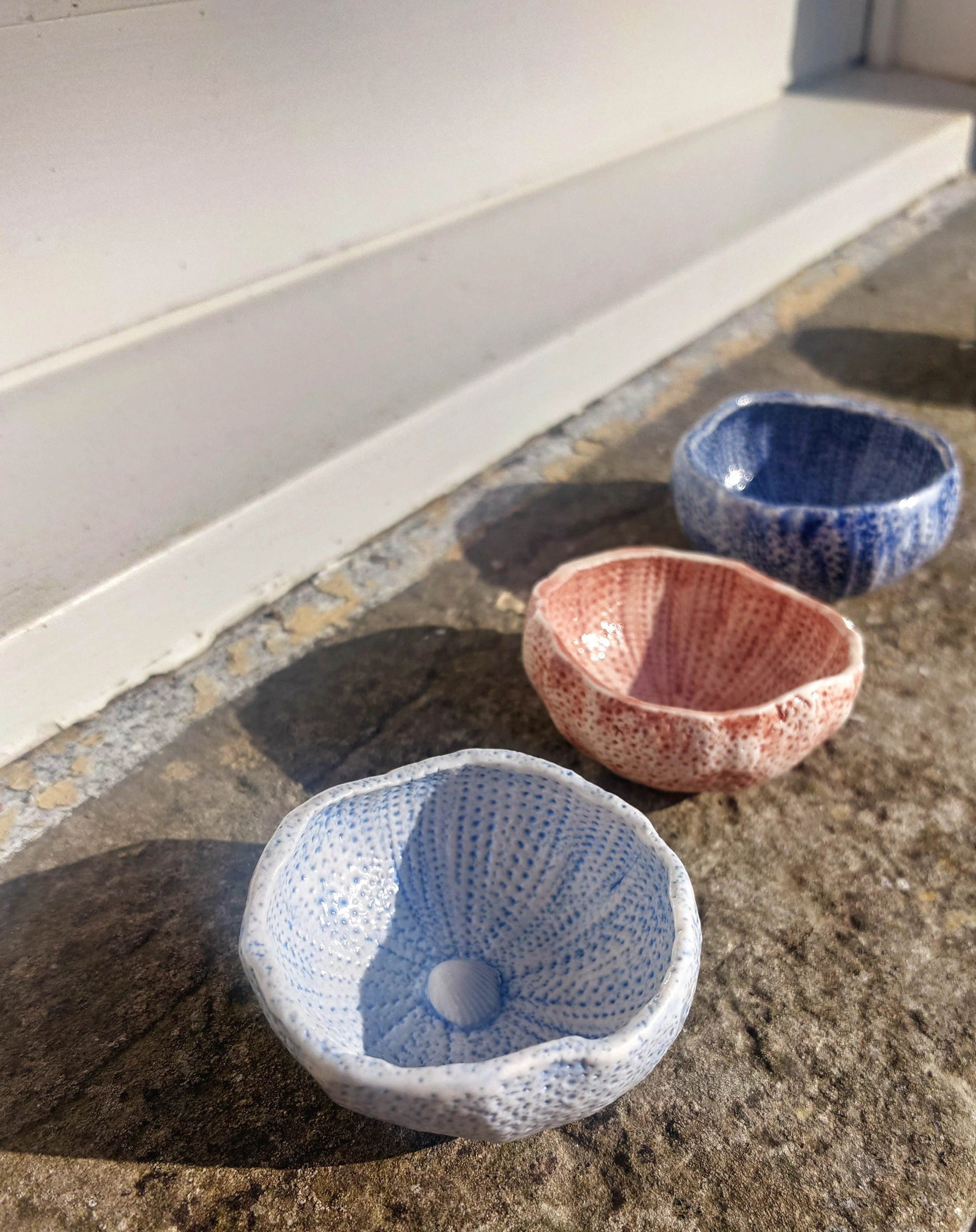 Sea Urchin Bowl - Foreshore Collection - Image 2