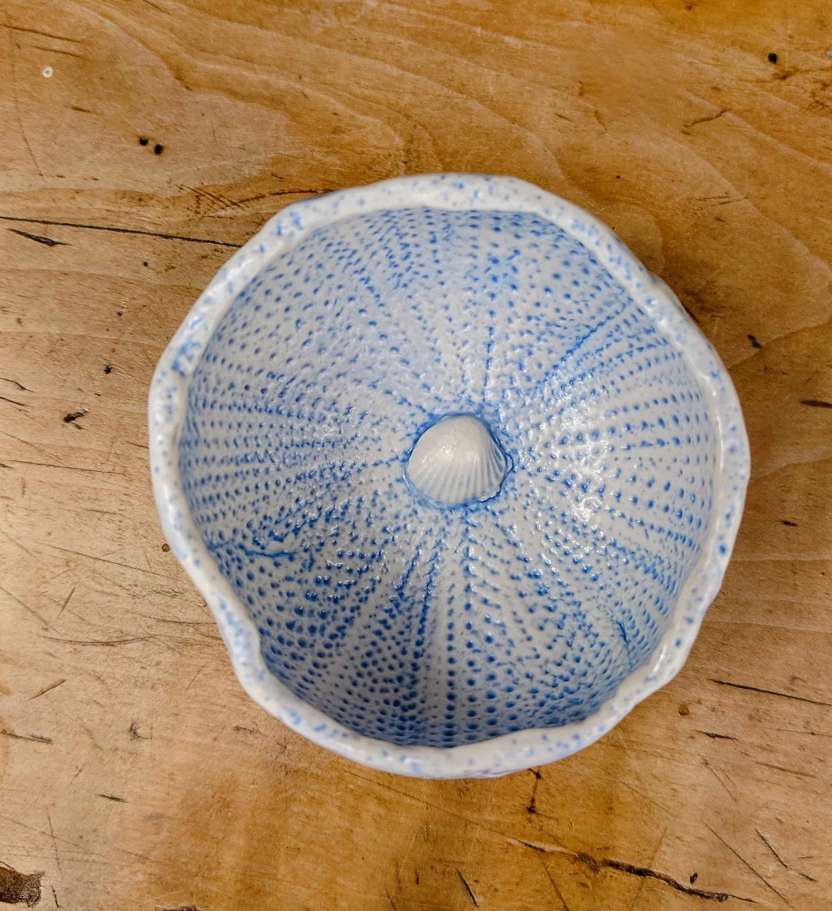 Sea Urchin Bowl - Foreshore Collection - Image 5