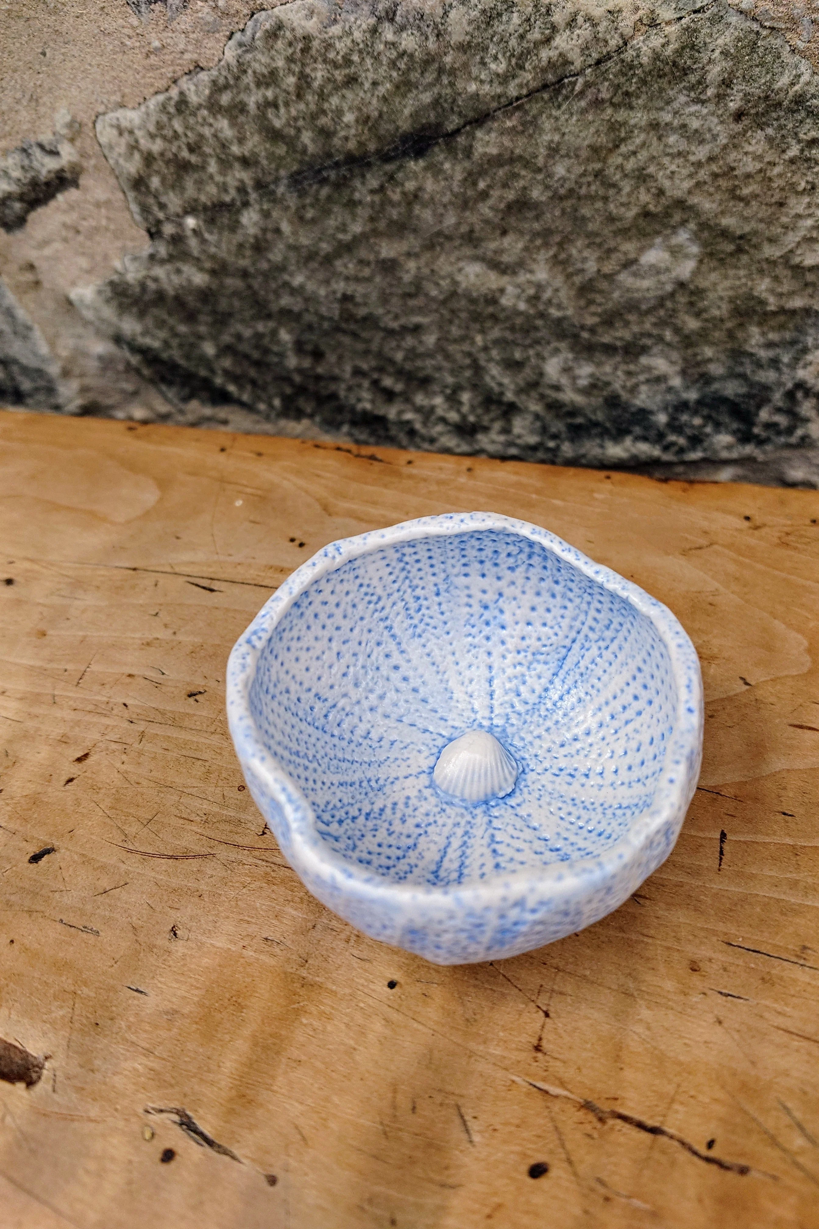 Sea Urchin Bowl - Foreshore Collection - Image 6